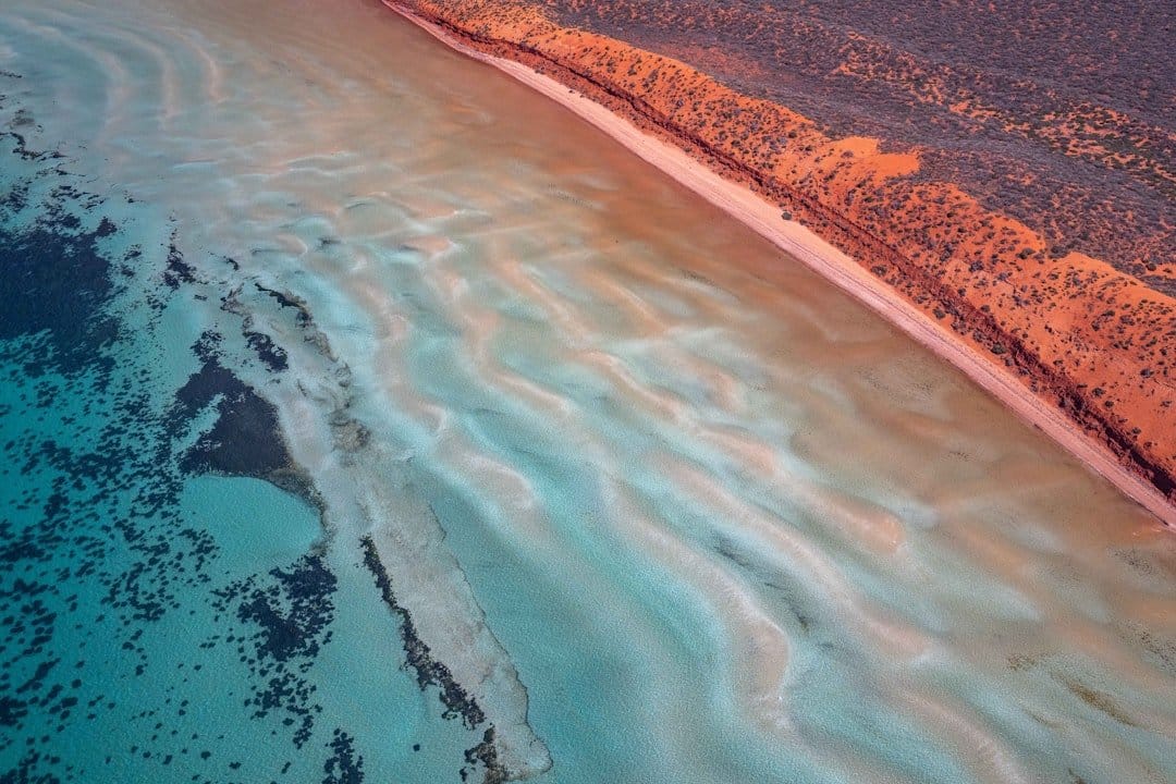 Ocean Floor Caught Splitting Open in Real Time